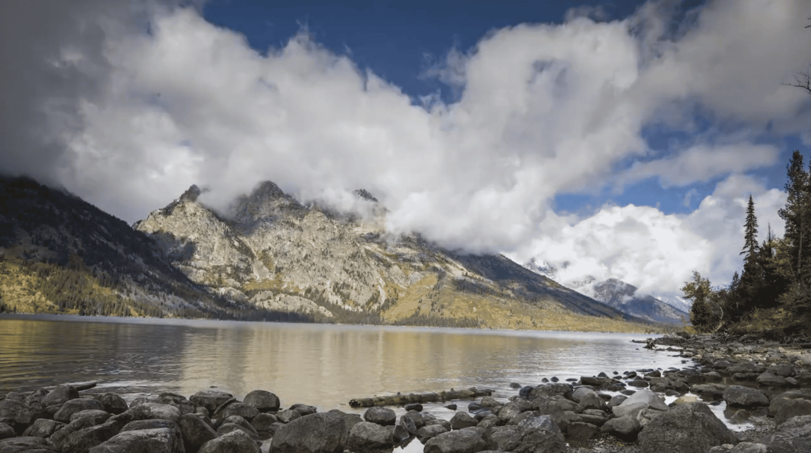 Any Video By Blocs Builder