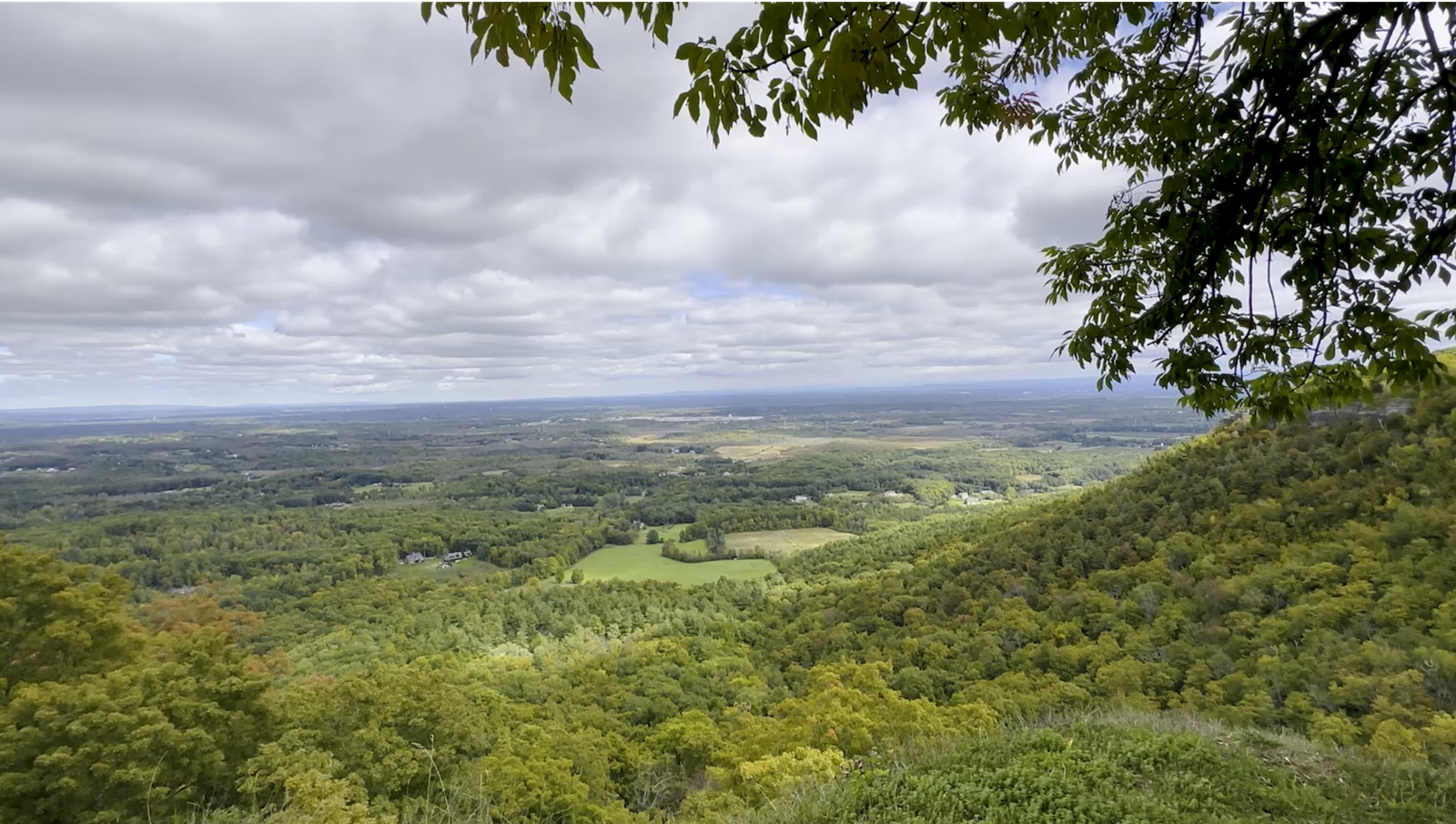 Any Video By Blocs Builder